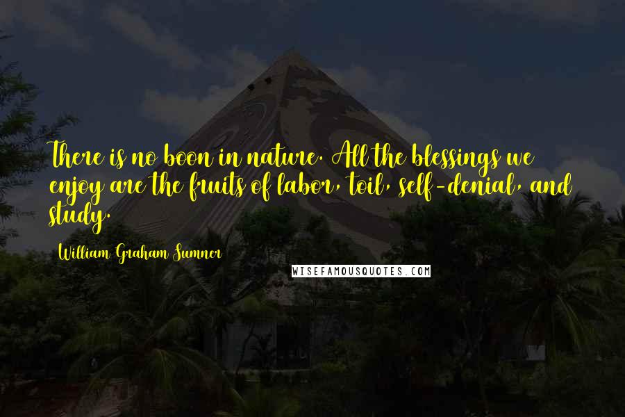 William Graham Sumner Quotes: There is no boon in nature. All the blessings we enjoy are the fruits of labor, toil, self-denial, and study.