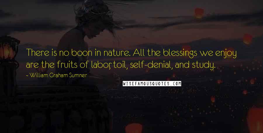 William Graham Sumner Quotes: There is no boon in nature. All the blessings we enjoy are the fruits of labor, toil, self-denial, and study.