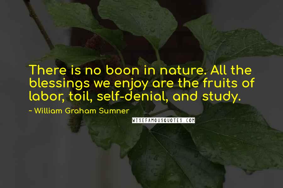 William Graham Sumner Quotes: There is no boon in nature. All the blessings we enjoy are the fruits of labor, toil, self-denial, and study.
