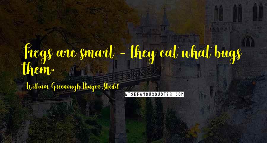 William Greenough Thayer Shedd Quotes: Frogs are smart - they eat what bugs them.