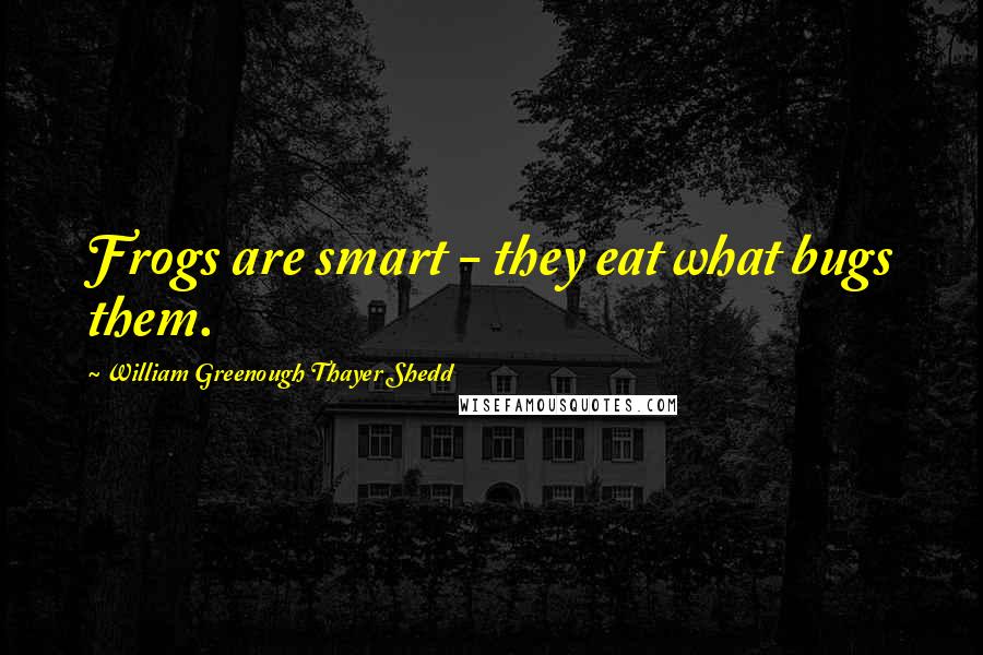 William Greenough Thayer Shedd Quotes: Frogs are smart - they eat what bugs them.