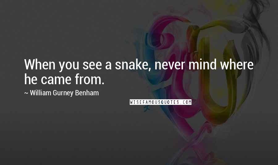 William Gurney Benham Quotes: When you see a snake, never mind where he came from.