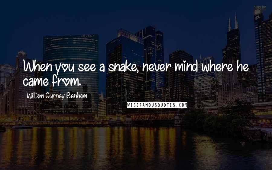 William Gurney Benham Quotes: When you see a snake, never mind where he came from.