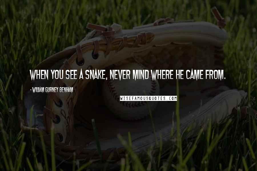 William Gurney Benham Quotes: When you see a snake, never mind where he came from.