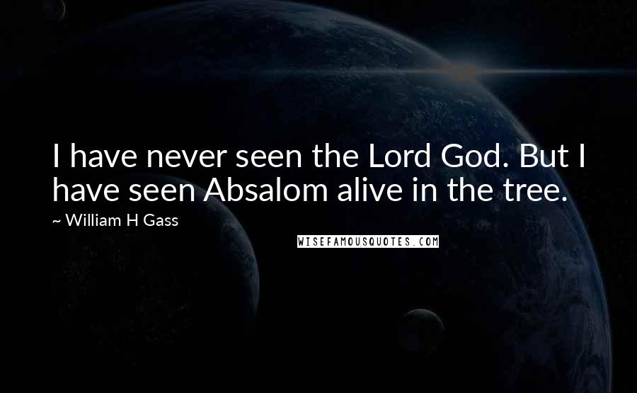 William H Gass Quotes: I have never seen the Lord God. But I have seen Absalom alive in the tree.