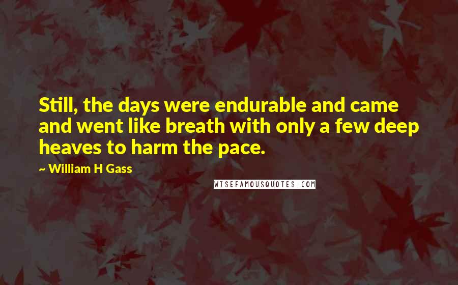William H Gass Quotes: Still, the days were endurable and came and went like breath with only a few deep heaves to harm the pace.