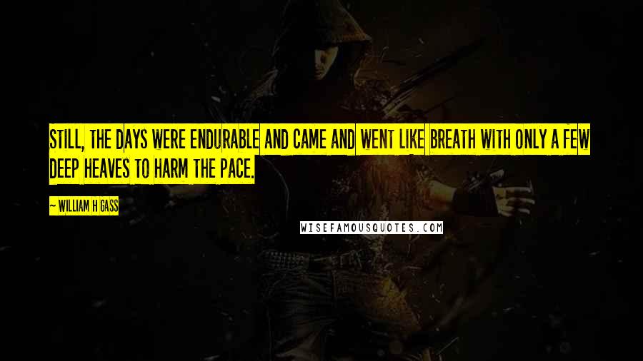 William H Gass Quotes: Still, the days were endurable and came and went like breath with only a few deep heaves to harm the pace.