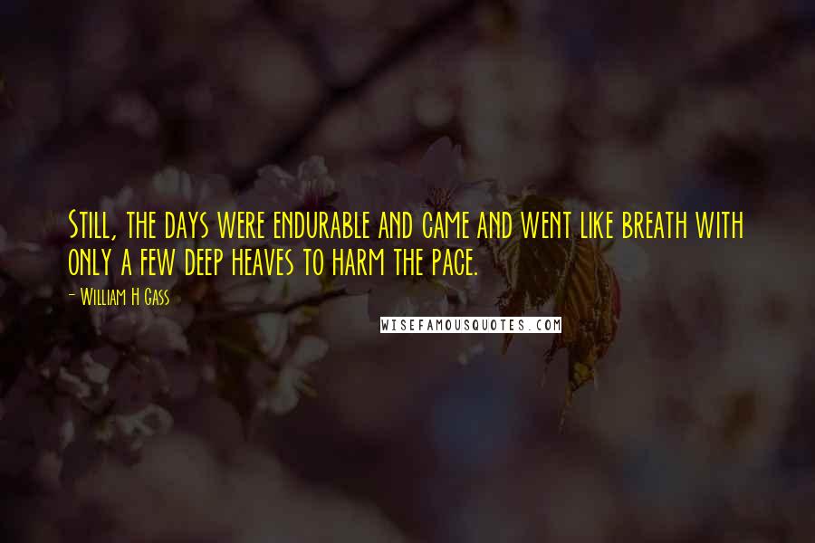 William H Gass Quotes: Still, the days were endurable and came and went like breath with only a few deep heaves to harm the pace.