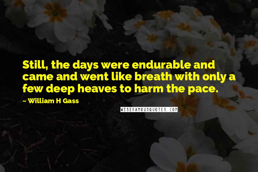William H Gass Quotes: Still, the days were endurable and came and went like breath with only a few deep heaves to harm the pace.