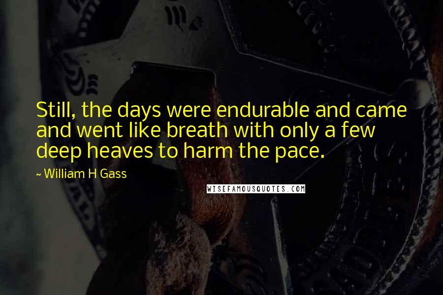 William H Gass Quotes: Still, the days were endurable and came and went like breath with only a few deep heaves to harm the pace.