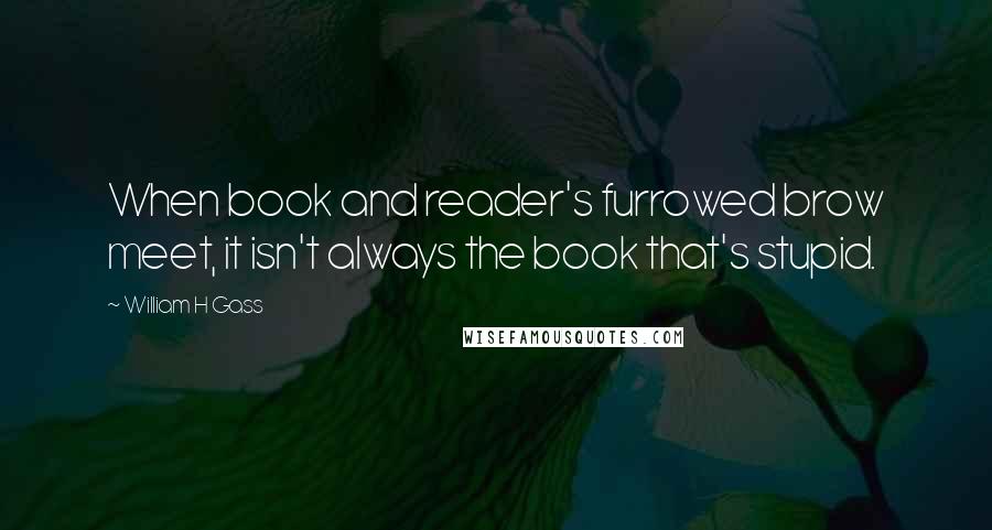 William H Gass Quotes: When book and reader's furrowed brow meet, it isn't always the book that's stupid.