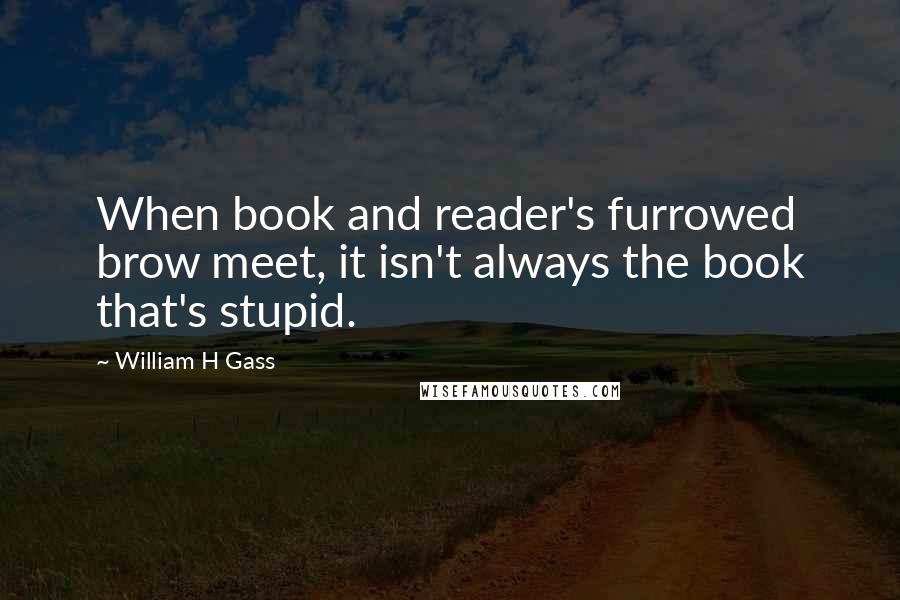 William H Gass Quotes: When book and reader's furrowed brow meet, it isn't always the book that's stupid.