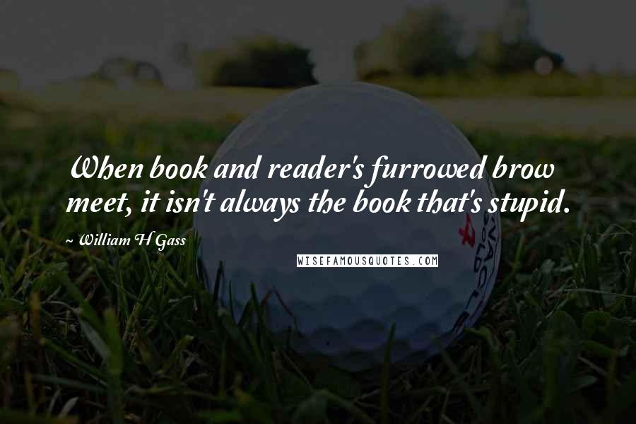 William H Gass Quotes: When book and reader's furrowed brow meet, it isn't always the book that's stupid.