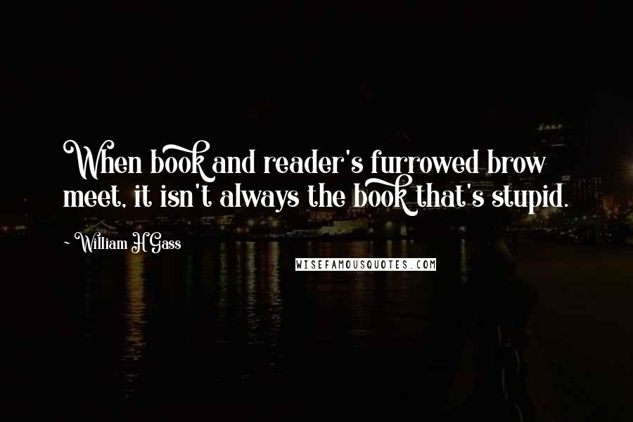 William H Gass Quotes: When book and reader's furrowed brow meet, it isn't always the book that's stupid.