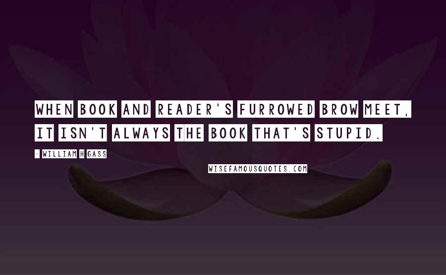 William H Gass Quotes: When book and reader's furrowed brow meet, it isn't always the book that's stupid.