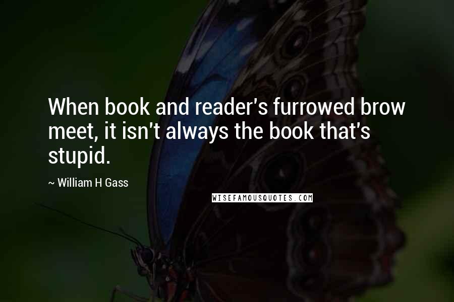 William H Gass Quotes: When book and reader's furrowed brow meet, it isn't always the book that's stupid.