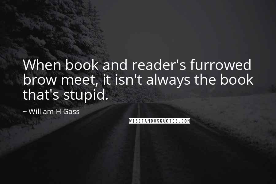 William H Gass Quotes: When book and reader's furrowed brow meet, it isn't always the book that's stupid.