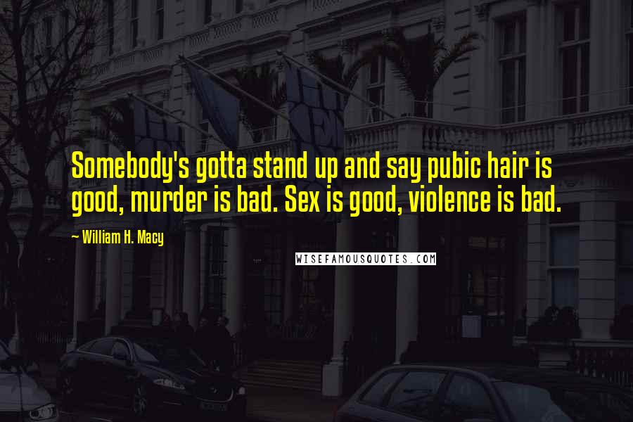 William H. Macy Quotes: Somebody's gotta stand up and say pubic hair is good, murder is bad. Sex is good, violence is bad.