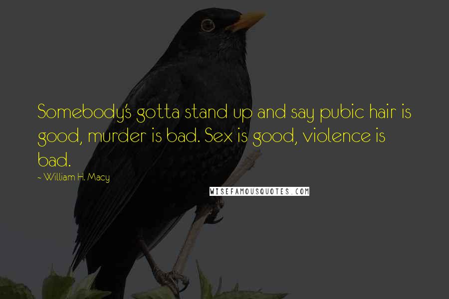 William H. Macy Quotes: Somebody's gotta stand up and say pubic hair is good, murder is bad. Sex is good, violence is bad.