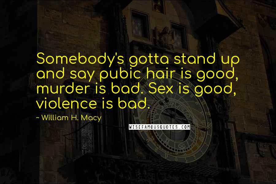 William H. Macy Quotes: Somebody's gotta stand up and say pubic hair is good, murder is bad. Sex is good, violence is bad.