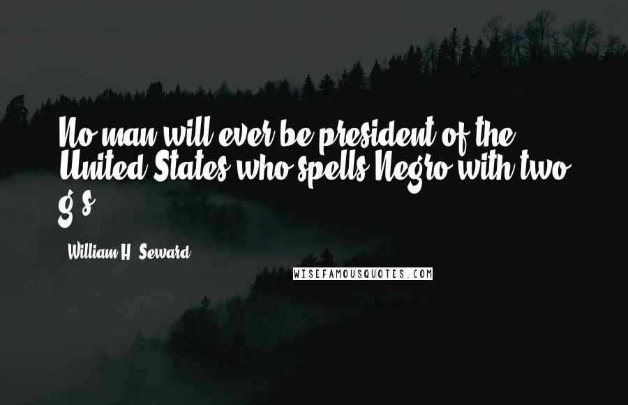 William H. Seward Quotes: No man will ever be president of the United States who spells Negro with two g's.