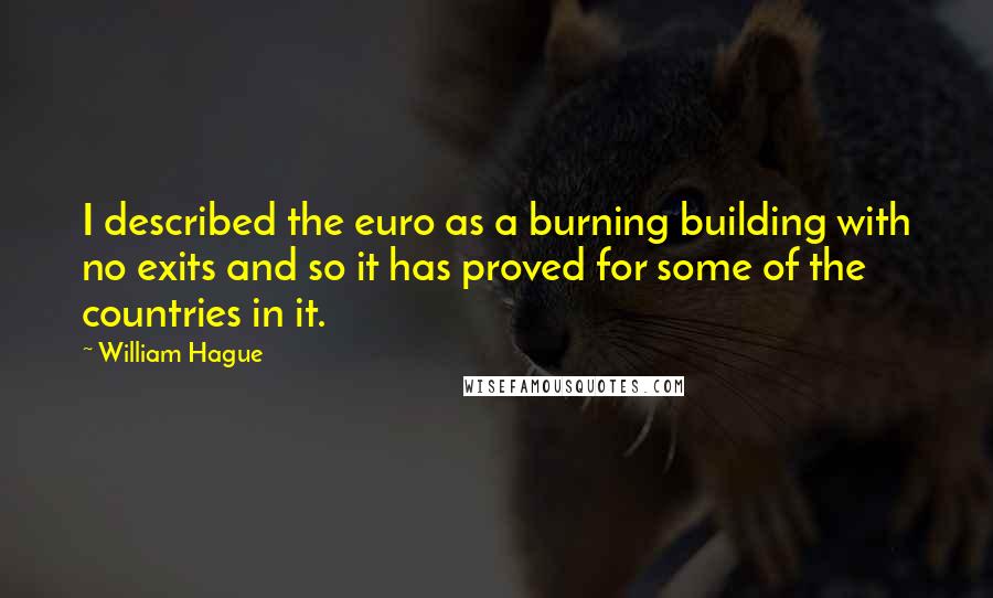 William Hague Quotes: I described the euro as a burning building with no exits and so it has proved for some of the countries in it.