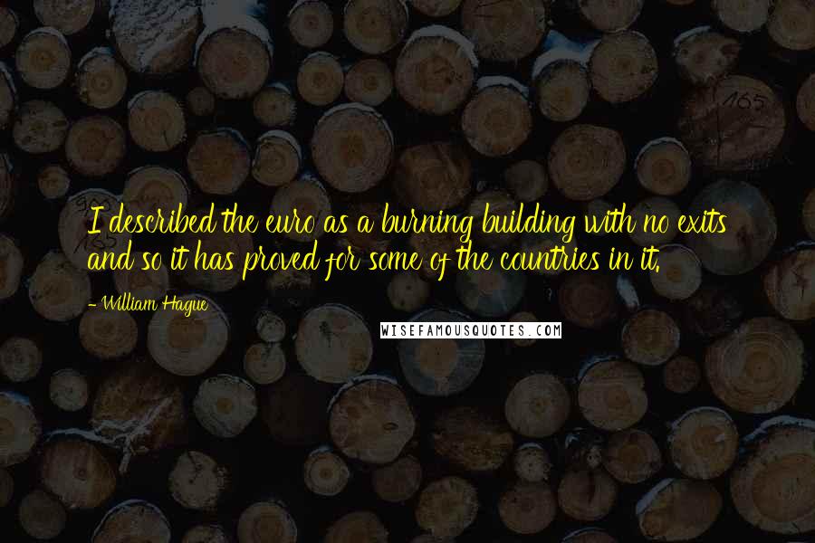 William Hague Quotes: I described the euro as a burning building with no exits and so it has proved for some of the countries in it.