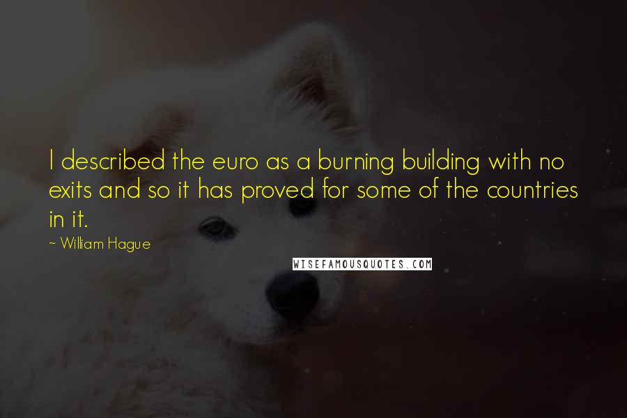 William Hague Quotes: I described the euro as a burning building with no exits and so it has proved for some of the countries in it.