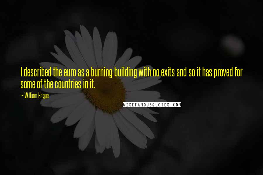 William Hague Quotes: I described the euro as a burning building with no exits and so it has proved for some of the countries in it.