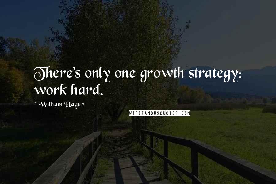 William Hague Quotes: There's only one growth strategy: work hard.