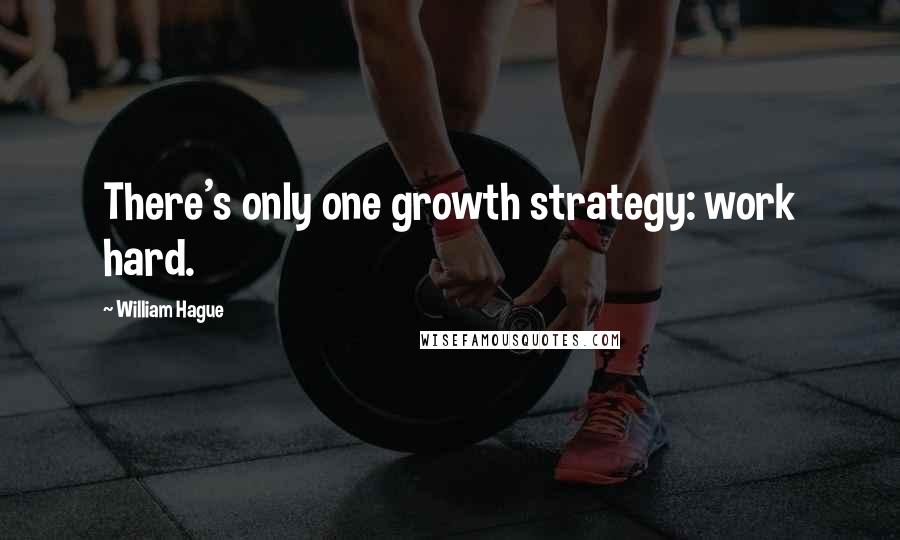 William Hague Quotes: There's only one growth strategy: work hard.