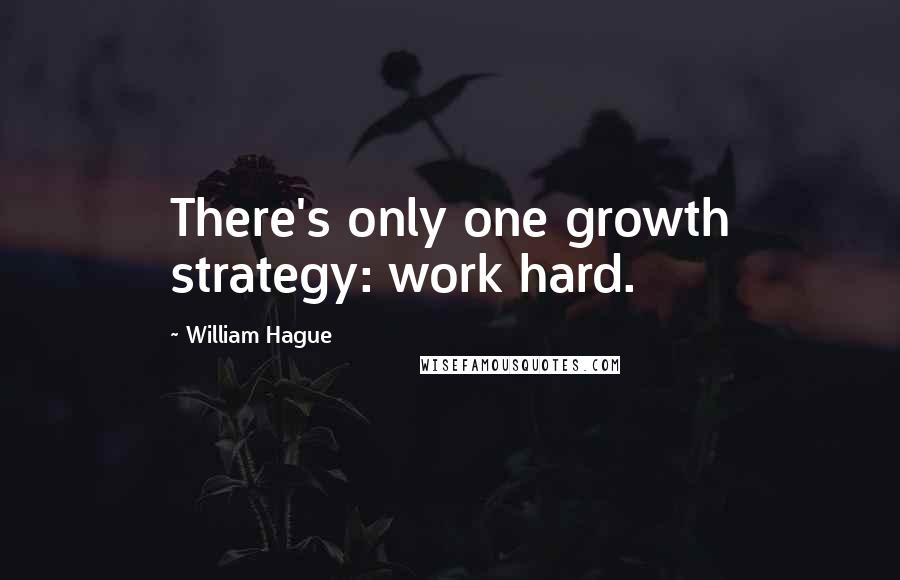 William Hague Quotes: There's only one growth strategy: work hard.