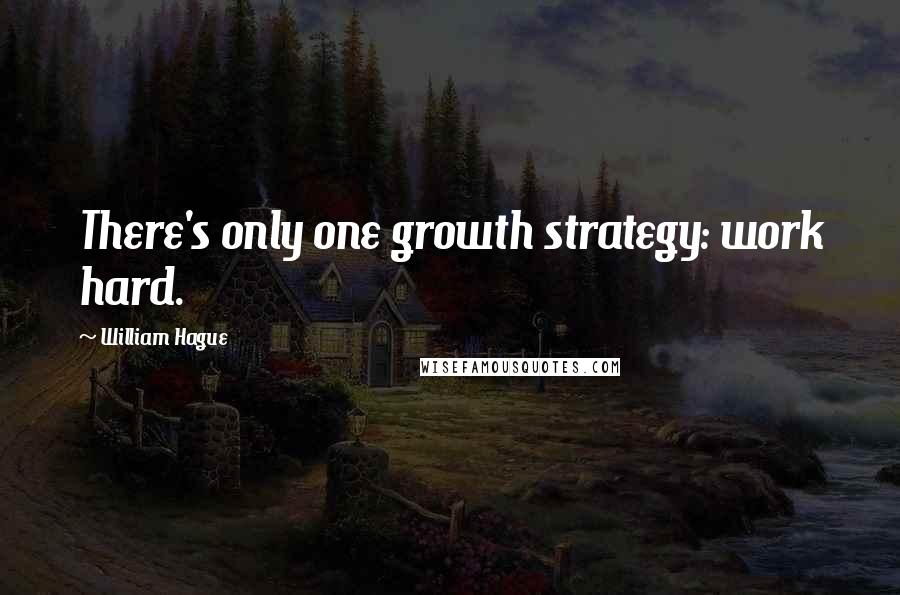 William Hague Quotes: There's only one growth strategy: work hard.