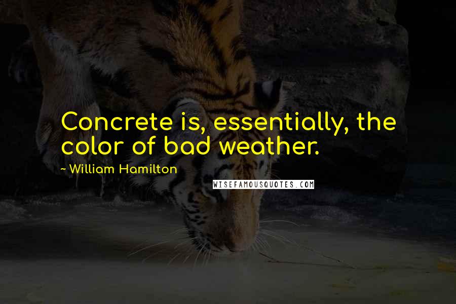 William Hamilton Quotes: Concrete is, essentially, the color of bad weather.