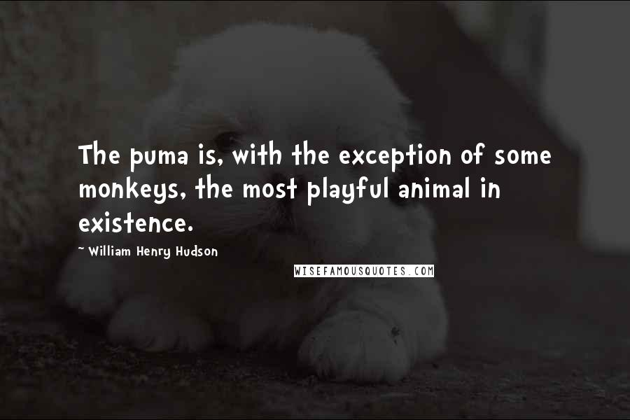 William Henry Hudson Quotes: The puma is, with the exception of some monkeys, the most playful animal in existence.