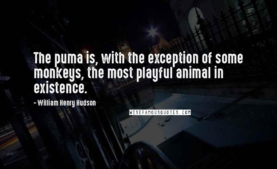 William Henry Hudson Quotes: The puma is, with the exception of some monkeys, the most playful animal in existence.