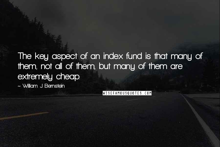 William J. Bernstein Quotes: The key aspect of an index fund is that many of them, not all of them, but many of them are extremely cheap.