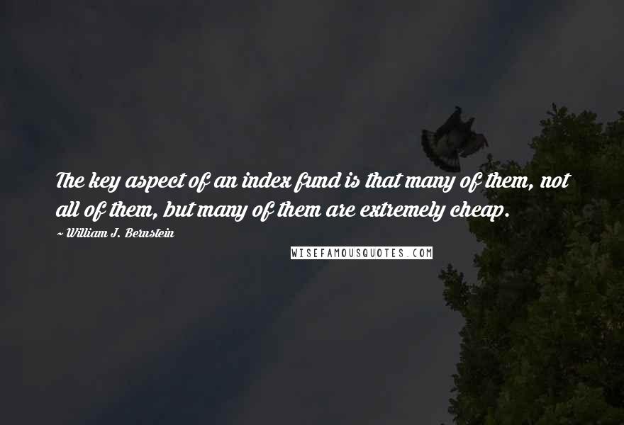 William J. Bernstein Quotes: The key aspect of an index fund is that many of them, not all of them, but many of them are extremely cheap.