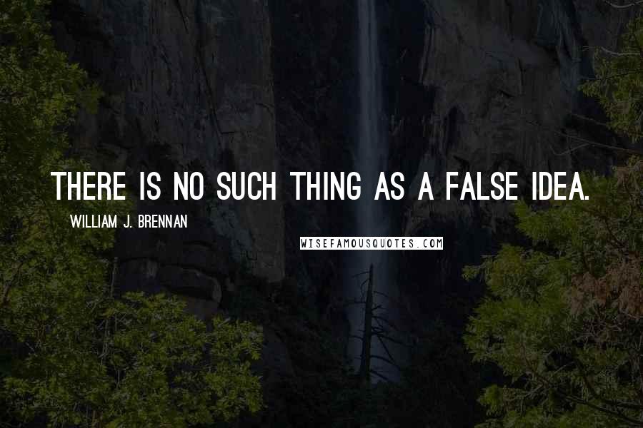 William J. Brennan Quotes: There is no such thing as a false idea.