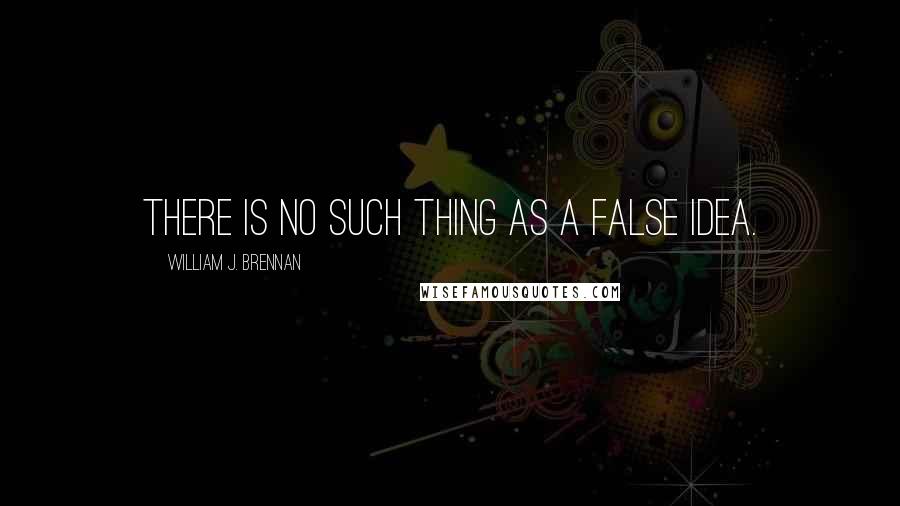 William J. Brennan Quotes: There is no such thing as a false idea.