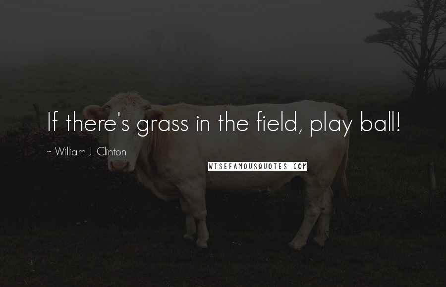 William J. Clinton Quotes: If there's grass in the field, play ball!