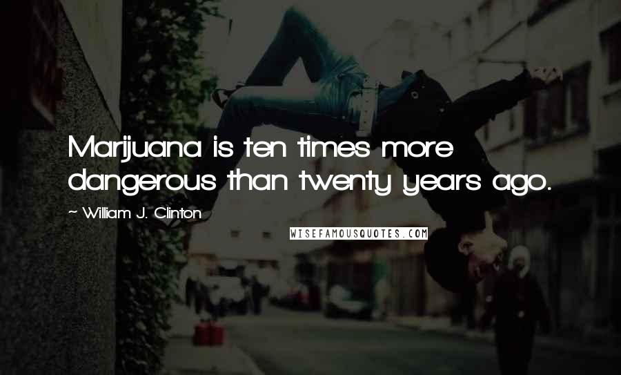 William J. Clinton Quotes: Marijuana is ten times more dangerous than twenty years ago.