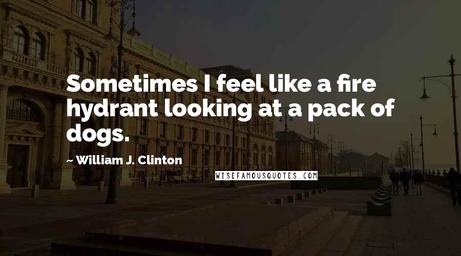 William J. Clinton Quotes: Sometimes I feel like a fire hydrant looking at a pack of dogs.