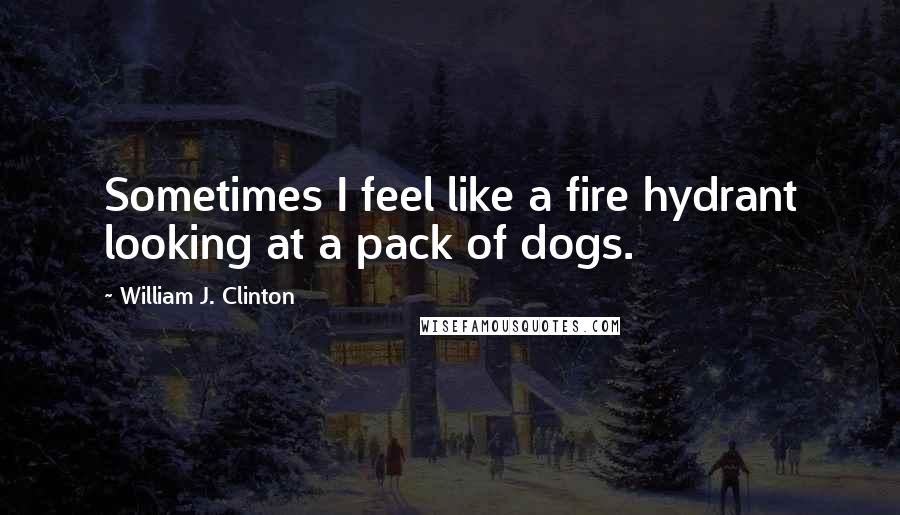 William J. Clinton Quotes: Sometimes I feel like a fire hydrant looking at a pack of dogs.