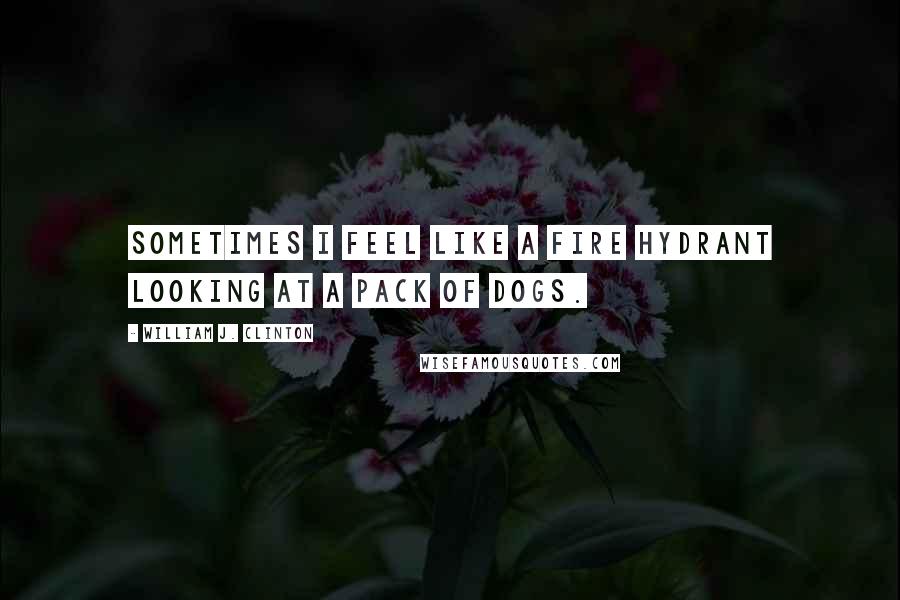 William J. Clinton Quotes: Sometimes I feel like a fire hydrant looking at a pack of dogs.