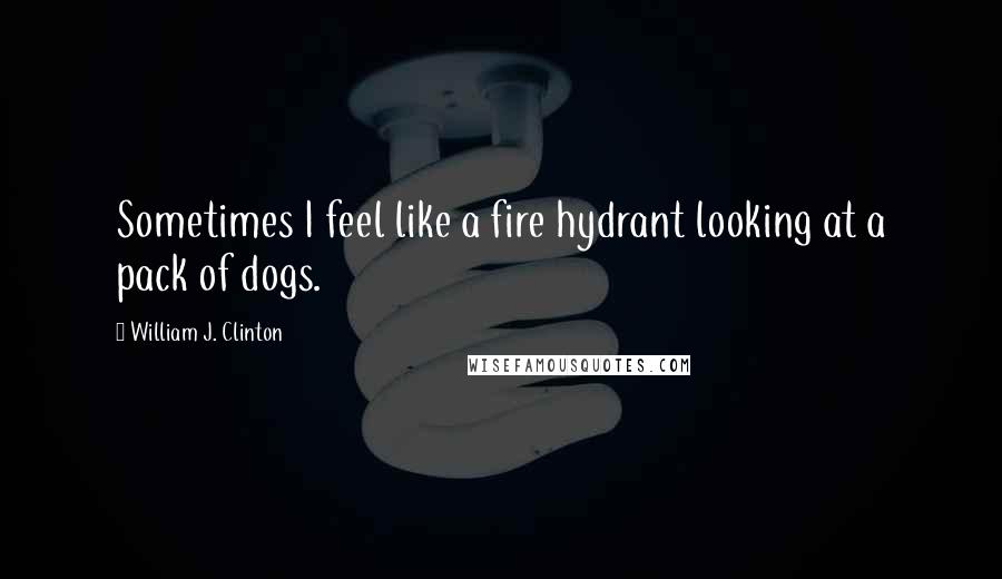 William J. Clinton Quotes: Sometimes I feel like a fire hydrant looking at a pack of dogs.