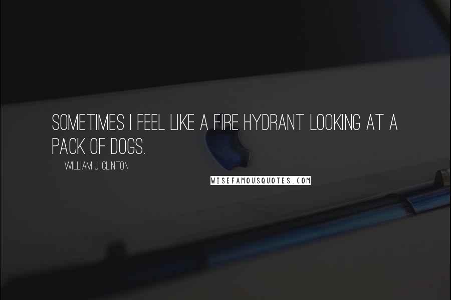 William J. Clinton Quotes: Sometimes I feel like a fire hydrant looking at a pack of dogs.