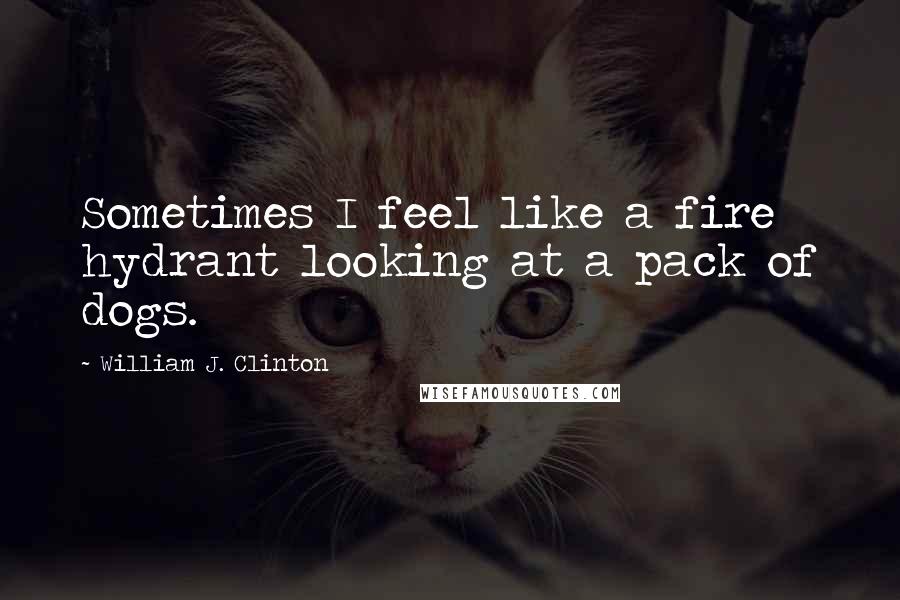 William J. Clinton Quotes: Sometimes I feel like a fire hydrant looking at a pack of dogs.