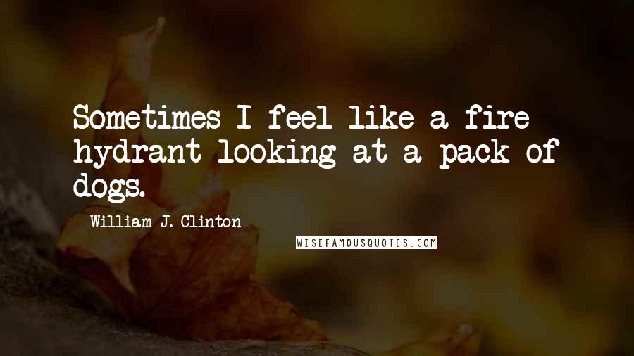 William J. Clinton Quotes: Sometimes I feel like a fire hydrant looking at a pack of dogs.
