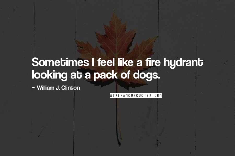 William J. Clinton Quotes: Sometimes I feel like a fire hydrant looking at a pack of dogs.